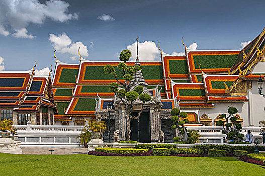 soi cau bach thu binh dinh