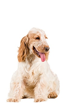 kết quả xổ số nét