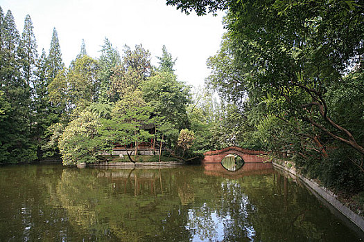 soi cau tuan vu 668