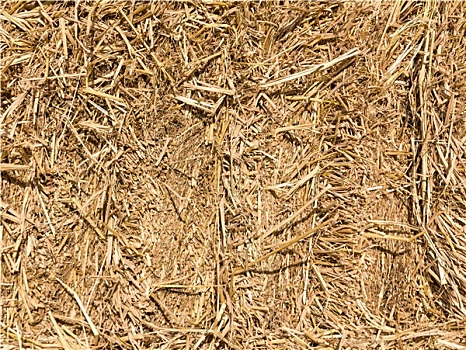 soi cầu lô chuẩn hôm nay