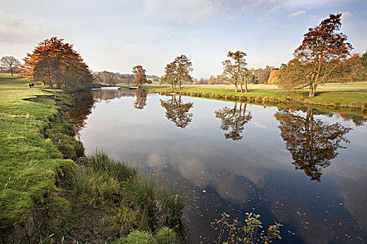 soi câu bach kim
