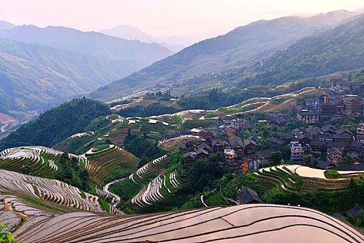 đánh đề online