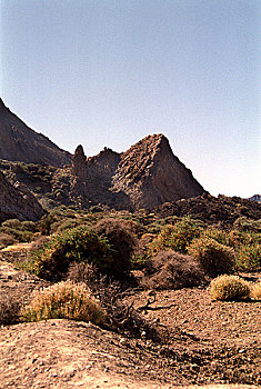 soi cau du doan mb