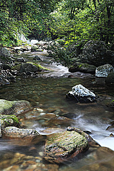 cách bắt lô xiên chuẩn
