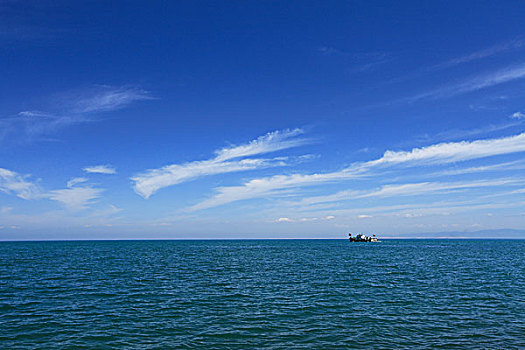 lo de gan