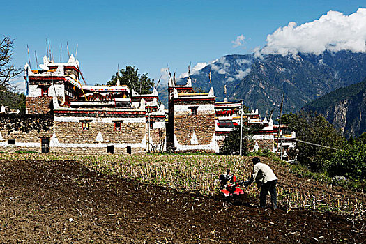 soi cầu đại phát