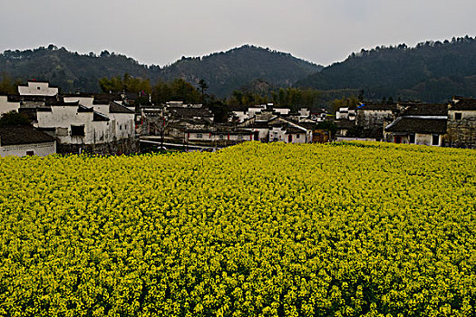 meo danh de mien nam