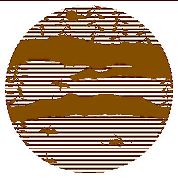 cau 888