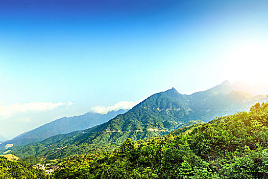 soi cau bach thu 8888