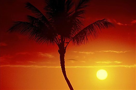 bạch thủ lô miền bắc ngày hôm nay