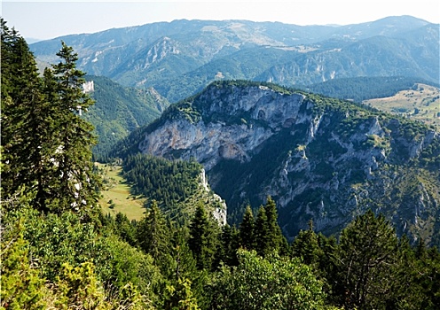 cau bach thu kep