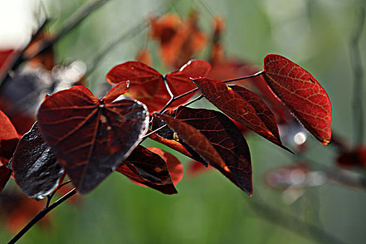 thống kê kqxsmb