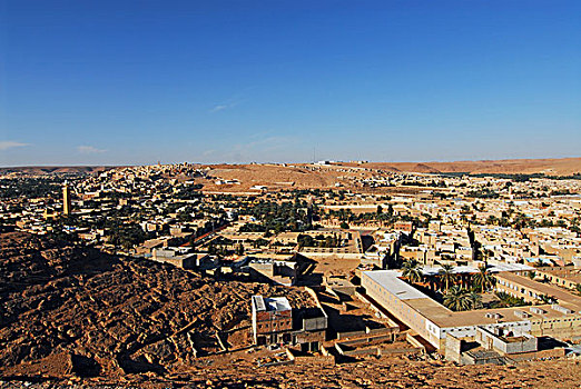 du doan mb
