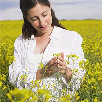 thống kê xổ số vĩnh long