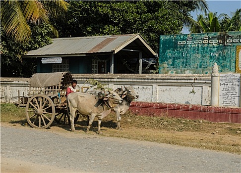 soi cầu siêu chuẩn