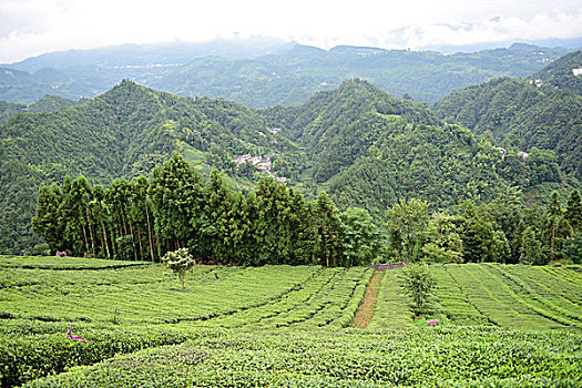 xin số miền bắc hôm nay