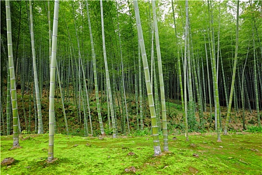 kết quả xổ số miền nam thứ hai